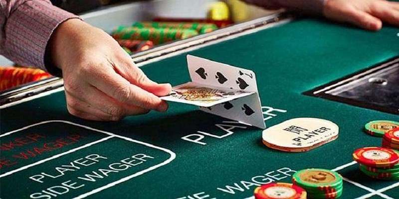 Các thành phần cần có trong trò chơi Baccarat