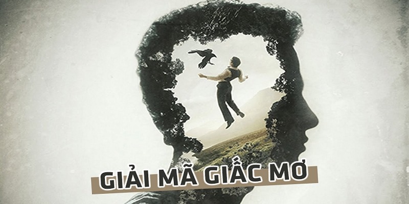 Giải mã giấc mơ là chủ đề được quan tâm hiện nay