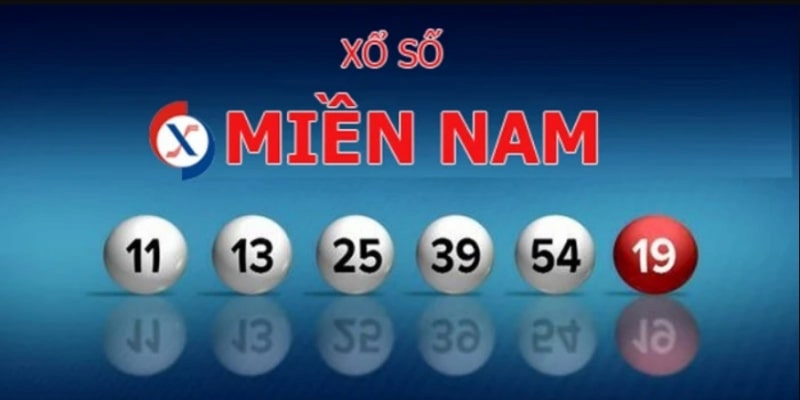 Học ngay kinh nghiệm tham gia XSMN thắng lớn từ chuyên gia
